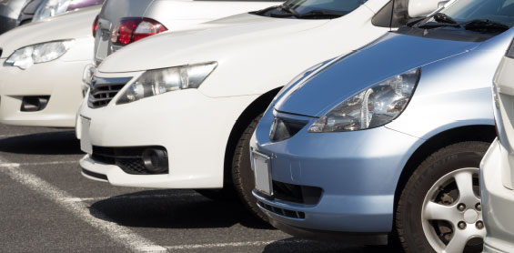 ベーシックプラン